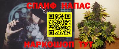 дмт Тула