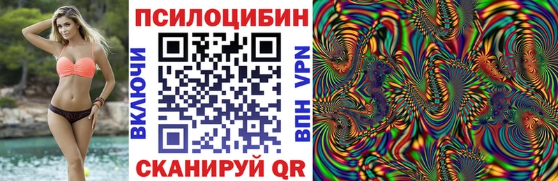 кракен ТОР  купить  сайты  Отрадное  Псилоцибиновые грибы ЛСД 