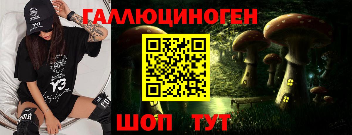 Псилоцибиновые грибы Psilocybine cubensis  Вход с VPN  Отрадное  Галлюциногенные грибы мицелий 