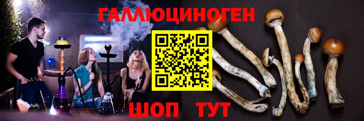 Псилоцибиновые грибы Magic Shrooms Отрадное